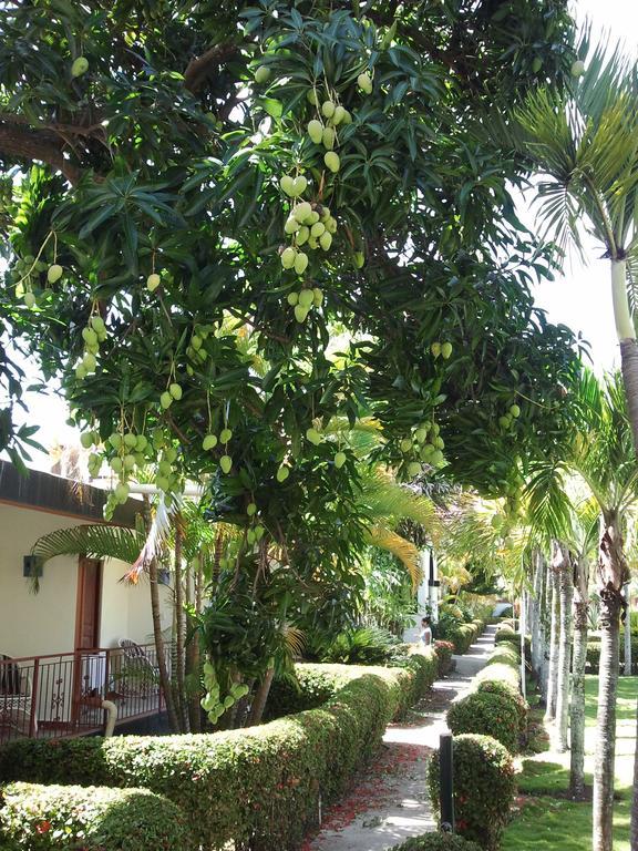 El Colibri Hotel Sosúa المظهر الخارجي الصورة