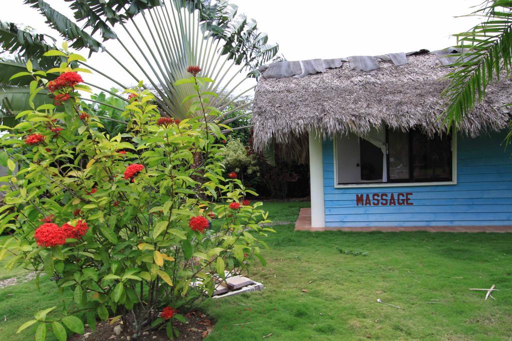 El Colibri Hotel Sosúa المظهر الخارجي الصورة